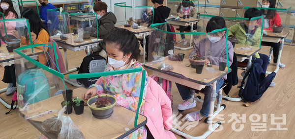 ▲ 충북 청주 봉정초 1학년 학생들이 다육정원을 만들고 있다.