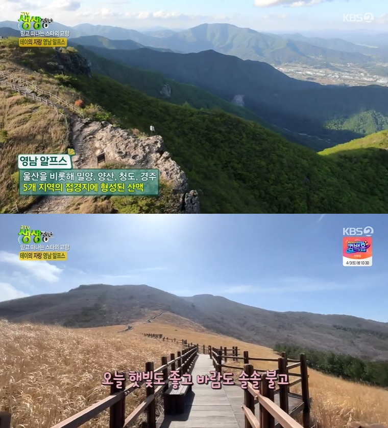 ▲ KBS2 ‘2TV 생생정보’