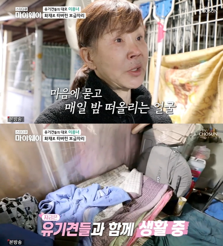 ▲ TV조선 ‘스타다큐 마이웨이’