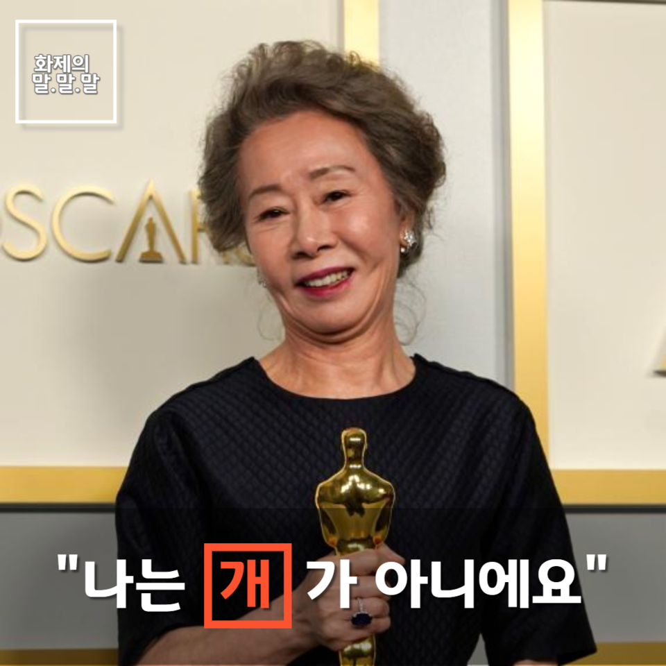 ▲ 사진:연합뉴스