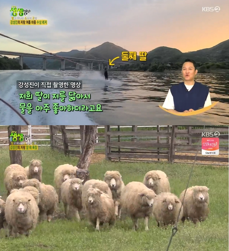 ▲ KBS2 ‘2TV생생정보’