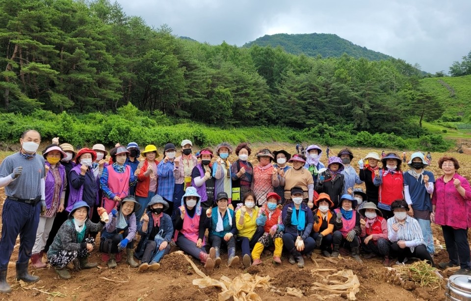 ▲ 단양군여성단체협의회원들이 단양읍 장현리에서 마늘 수확을 마치고 단체사진을 찍고 있다. 사진=단양군제공