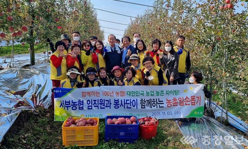 ▲ 주부 농산물체험구매단 손수 수확한 사과 직접 구매