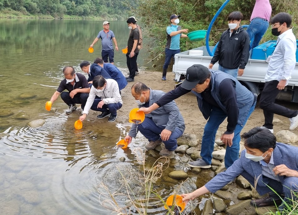 ▲ 지난해 단양 민물고기축양장서 생산된 물고기 치어를 방류하고 있는 모습. 사진=단양군제공