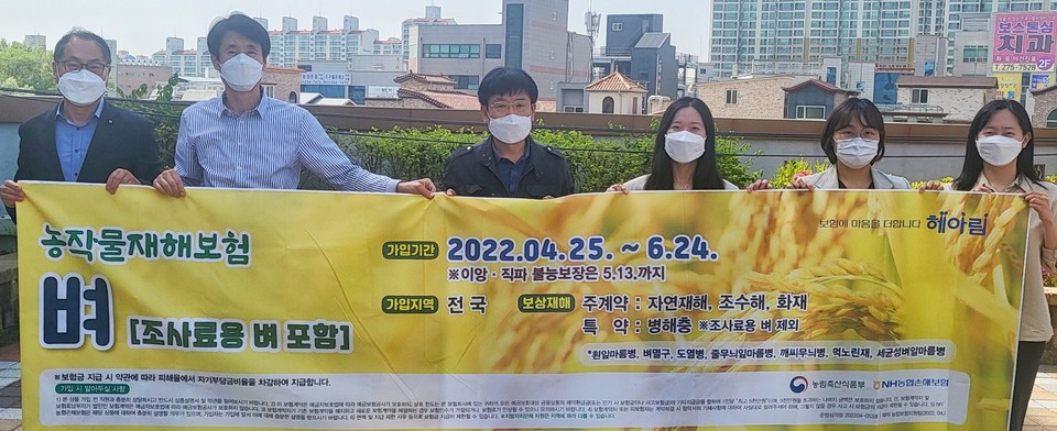 ▲ NH농협손해보험 충북총국은 2022년 벼 농작물재해보험 판매를 개시했다. 