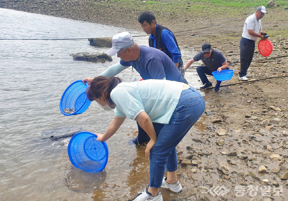▲ 충주시가 29일 쏘가리 치어 8000마리를 충주호에 방류하고 있다.