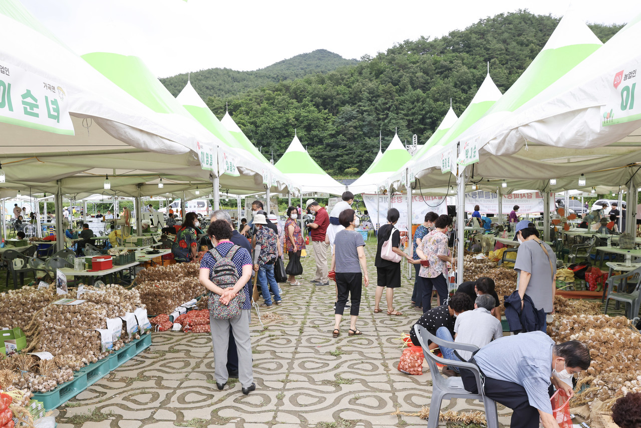 ▲ 지난 22일 단양생태체육공원에서 열린 단양마늘축제 모습. 사진=단양군제공