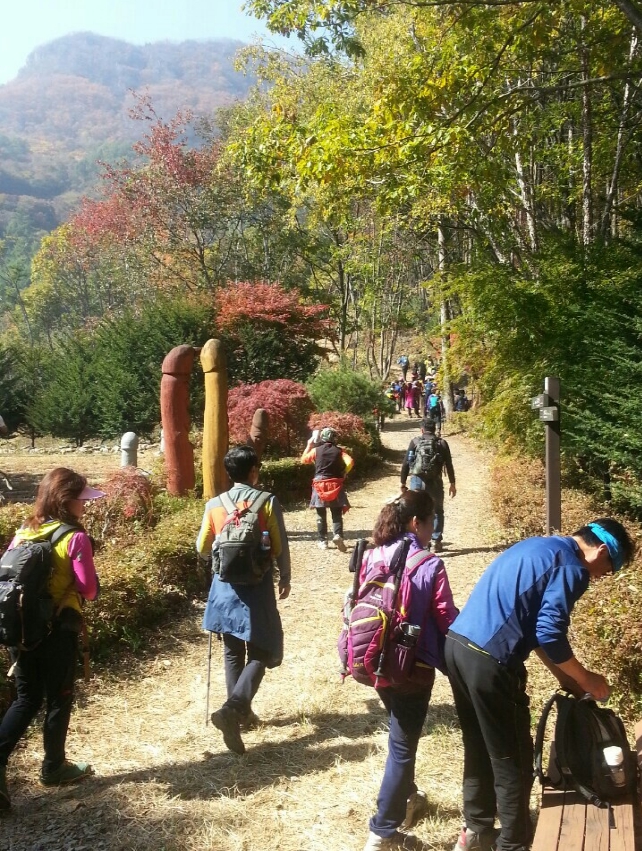 ▲ 금수산을 오르고 있는 등반객 모습. 사진=단양군제공