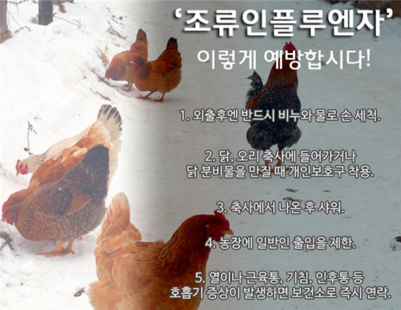 우리조류농장 이미지