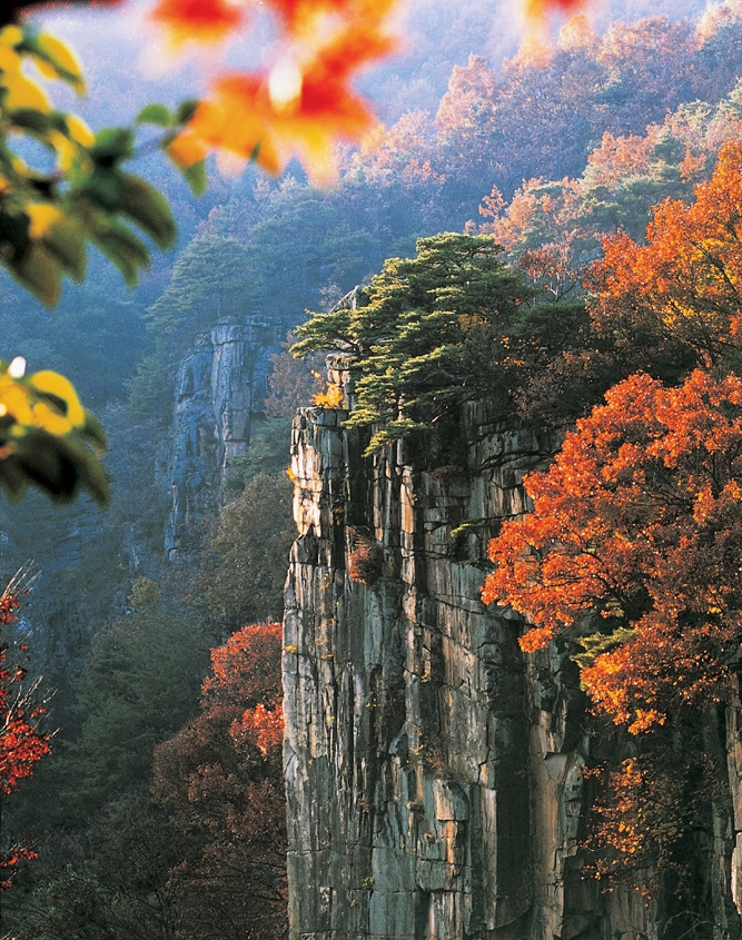 ▲ 단양군 대강면 단양팔경 중 한 곳인 사인암의 가을 모습. 사진=단양군제공