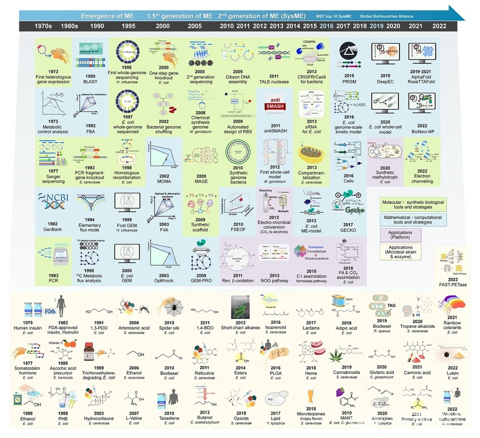 ▲ 대사공학의 주요 발전에 대한 타임라인