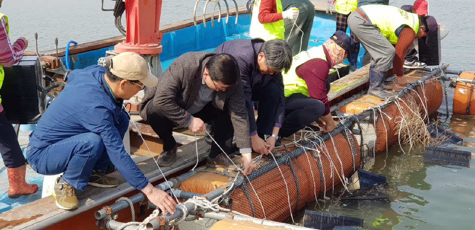 ▲ 　아산시가 아산호에 토종어종인 빙어 수정란을 이식하고 있다.