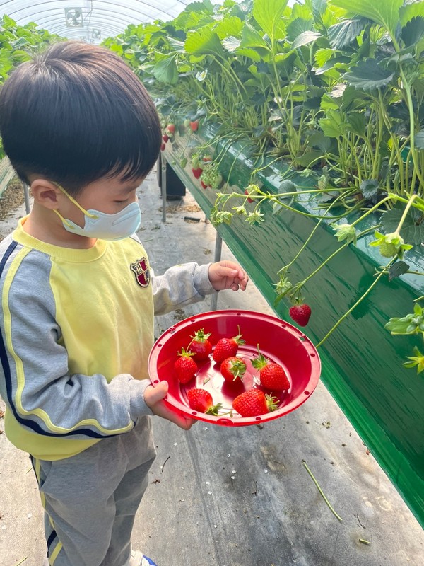 더 건강하고 맛있는 즐거움을 위한 유기농 치킨 농장 확장 계획!