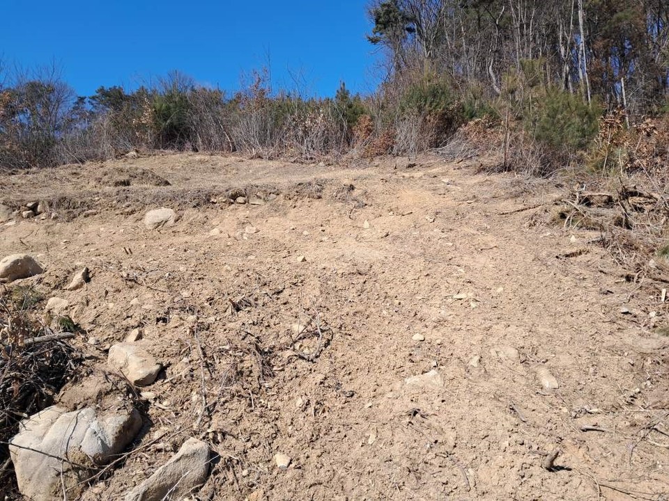 ▲ 충북 옥천군 청성면 대안리 산 104~5에서 묘지 개보수작업으로 산림 훼손이 이뤄진 모습.