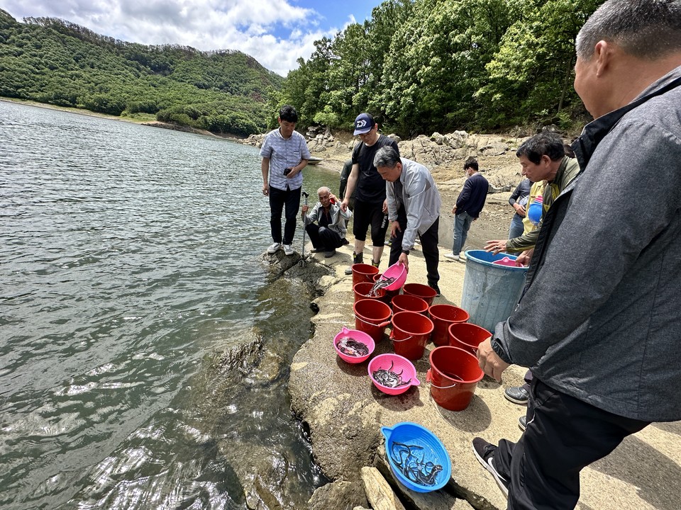 ▲ 충북 옥천군이 지난 19일 군북면 대정리 방아실 선착장 일원에서 뱀장어 치어 1만3000여 마리를 방류하고 있다.