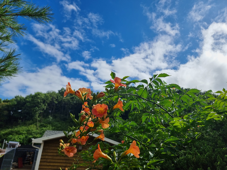 ▲ 17일 오후 충남 당진시 정미면 안사락골길에 들어난 청천 모습.