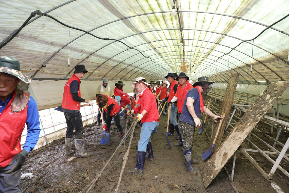 ▲ 국민의힘 박덕흠 의원이 지난 19일 동남4군 당원 100여 명과 괴산군 침수피해 지역에서 복구작업에 구슬땀을 흘리고 있다.