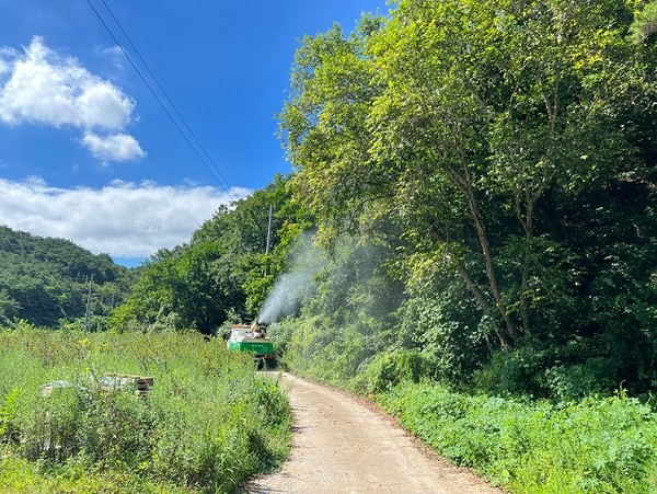 ▲ 방제 작업 모습. 사진=단양군제공