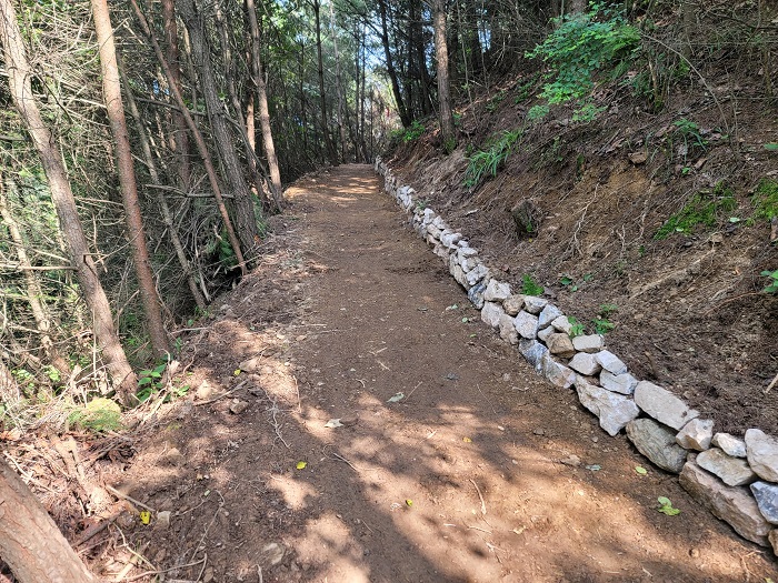 ▲ 지난 8일 완공된 동서트레일 소백산 일부 구간 모습. 사진=단양국유림관리소제공