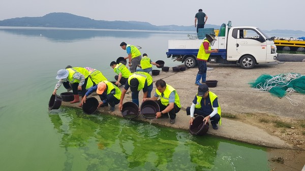 ▲ 아산시 아산호에서 동자개 20만 마리를 방류하고 있는 모습