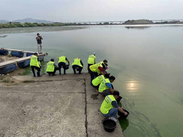 ▲ 아산시 아산호에서 동자개 20만 마리를 방류하고 있는 모습