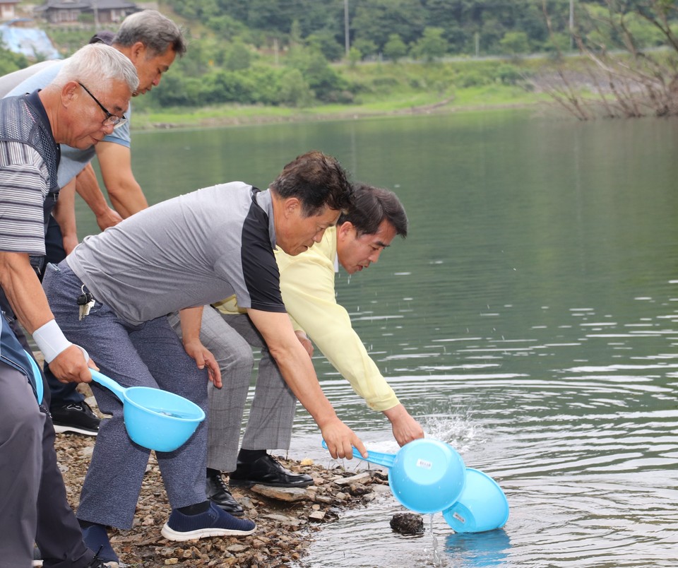 ▲ 최재형보은군수가 토종물고기 치어 25만마리 방류 했다.