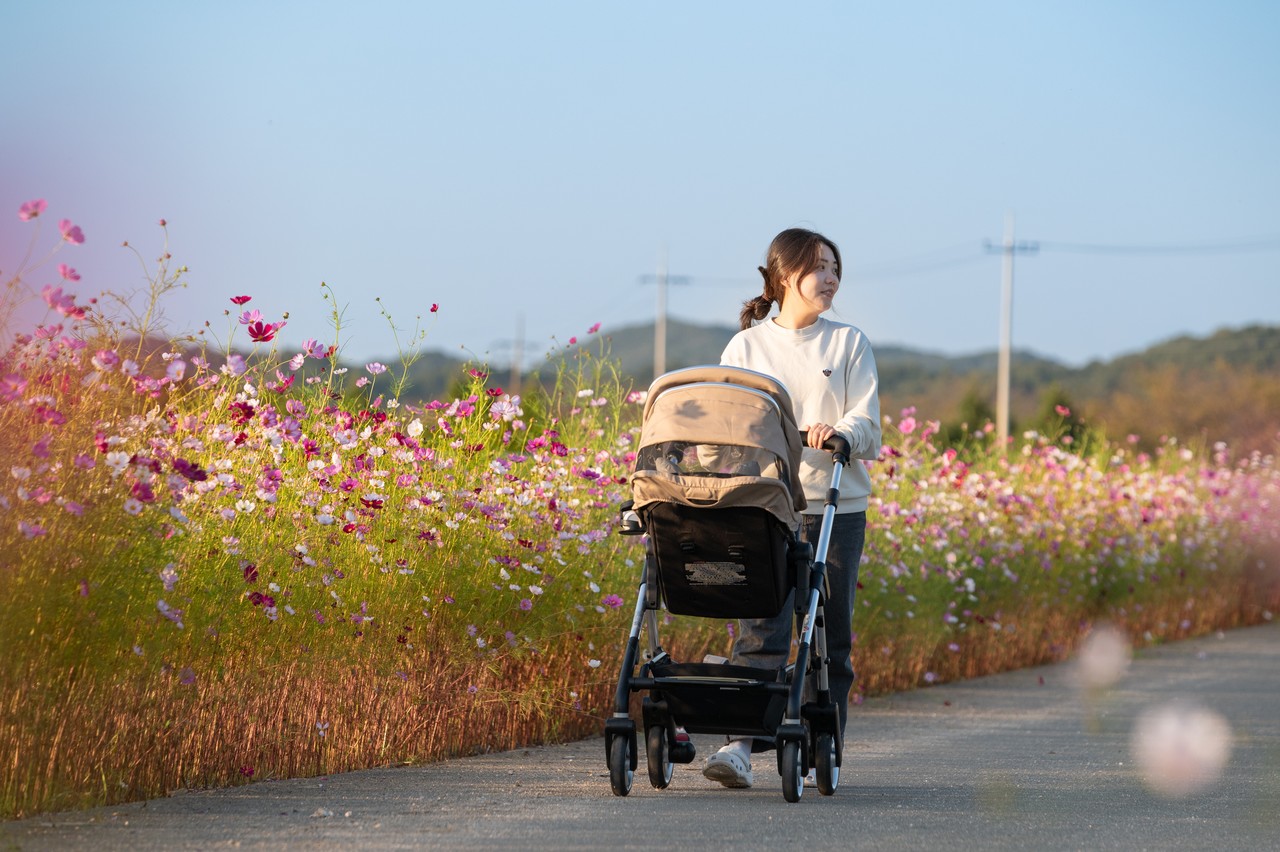 ▲ 최우수상을 받은 이희경 씨의 '코스모스 길 위에 행복'./세종시