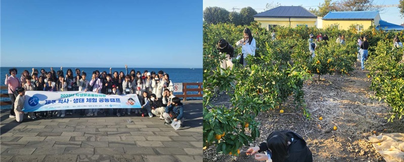 ▲ 세종시 초등학생들이 제주 역사·생태 체험 프로그램에 참여하고 있다./세종시교육청 제공