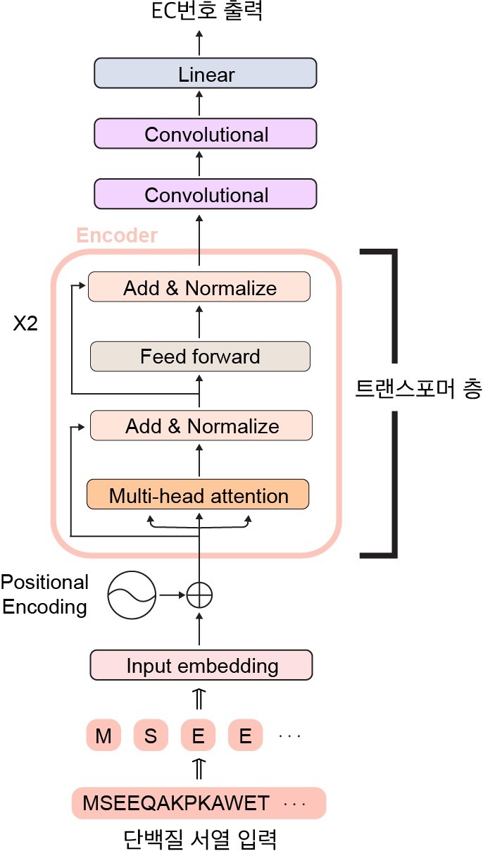 ▲ 딥 EC 트랜스포머의 인공 신경망 구조