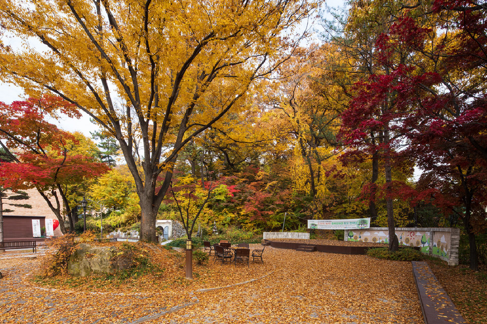 충북문화관의 야외 공연장.
