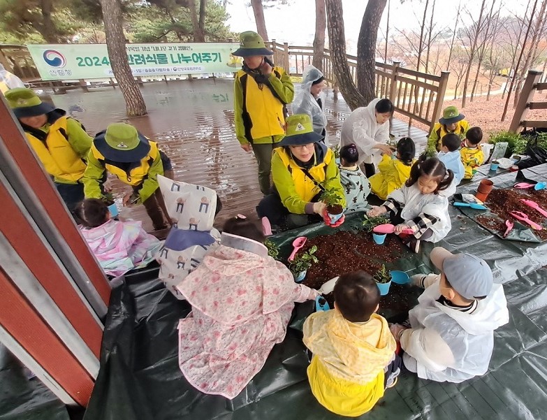 ▲ 제천 솔솔솔 다람쥐숲 유아숲 체험원을 찾은 어린이들이 숲 지도사의 도움으로 반려나무 화분 만들기를 하고 있다. 사진=단양국유림관리소제공