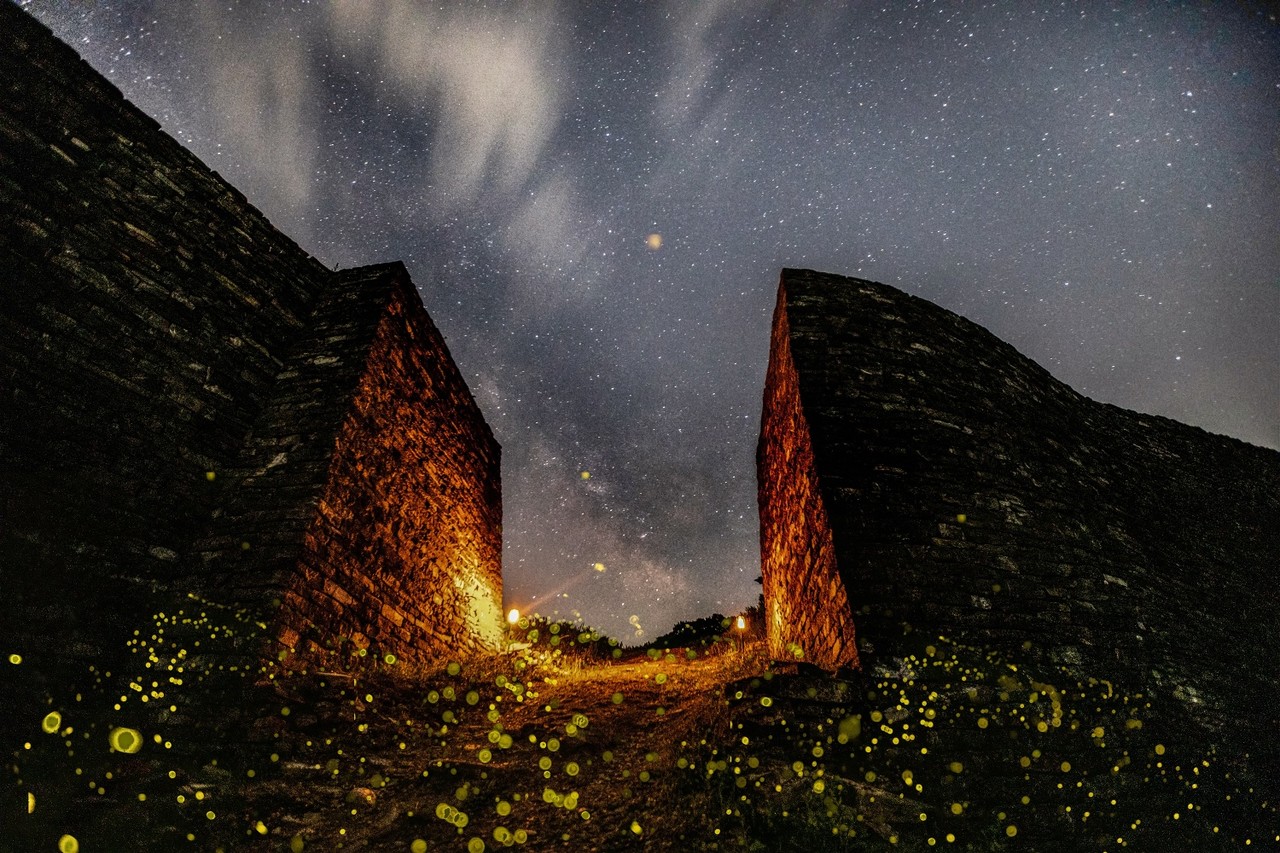 ▲ 단양 온달산성 반딧불이 모습. 사진=단양군제공