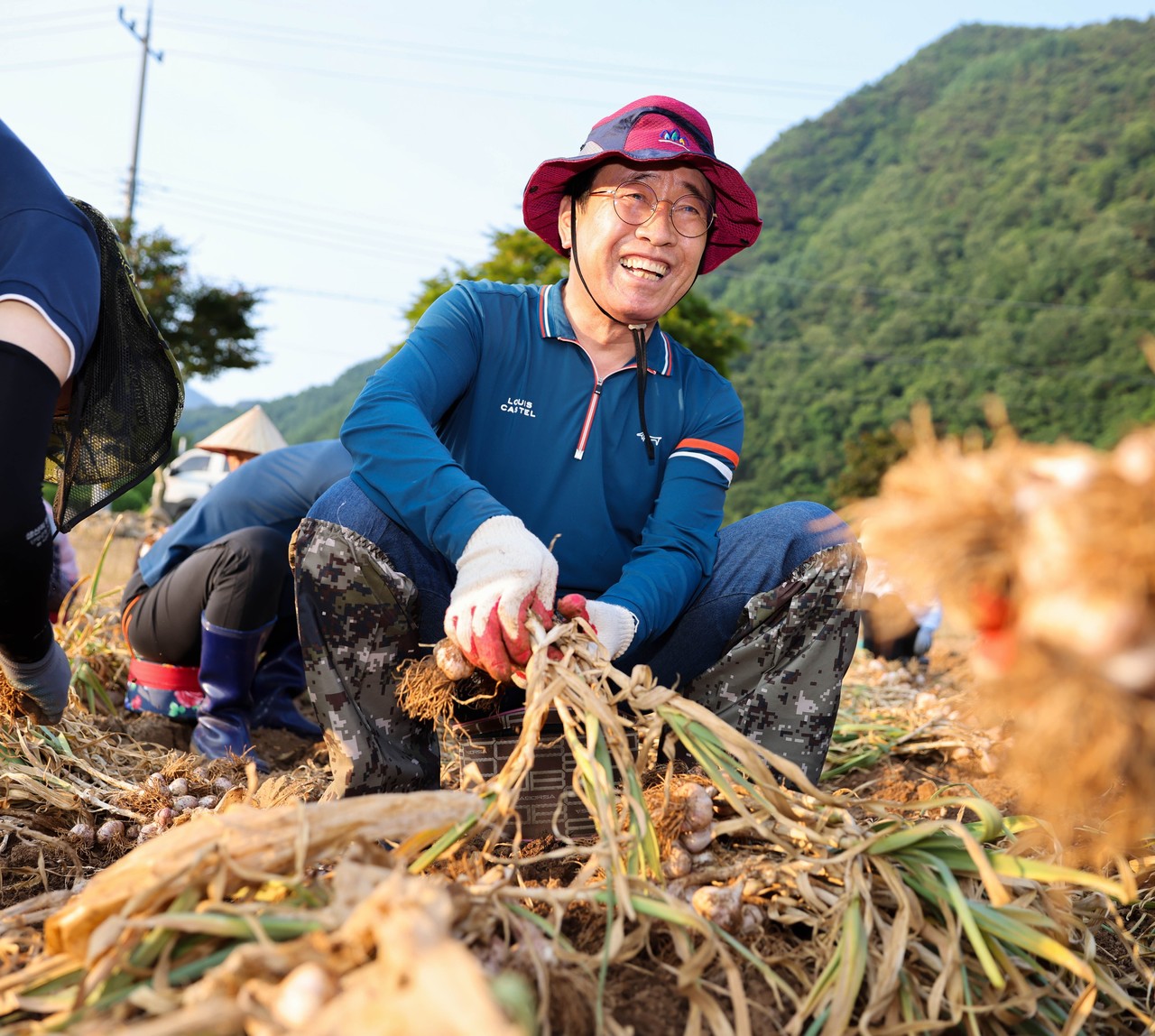 ▲ 지난 14일 김문근 단양군수가 가곡면 대대리 일손이음 현장에서 마늘을 수확하고 있다. 사진=단양군제공