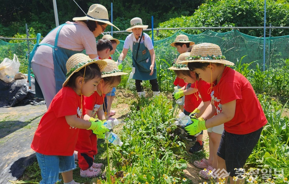 ▲ 유아대상 ‘텃밭에서 놀자’ 페트병 재활용 물뿌리개 물주기