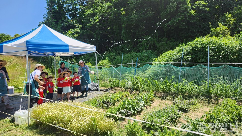 ▲ 텃밭에서 놀자, 물총으로 물주기