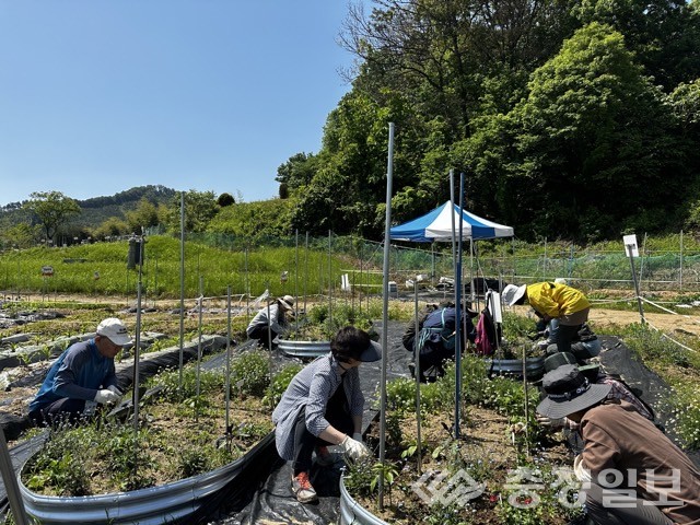 ▲ 시민대상 ‘알아두면 유익한 텃밭이야기’ 자연영양제와 방제제 만들기 모습