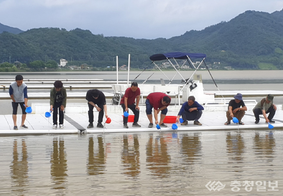 ▲ 충주시가 3일 탄금호에서 쏘가리 치어 방류행사를 갖고 있다.