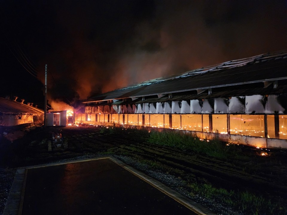 지난 13일 오전 2시 29분쯤 충북 괴산군 소수면 고마리의 한 양계장에서 화재가 발생했다.(사진제공=괴산소방서)