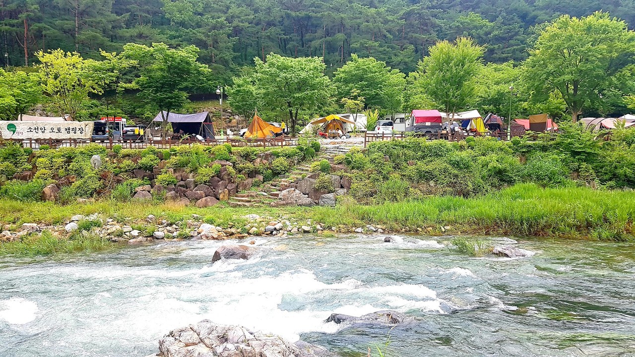 ▲ 단양 소선암오토캠핑장 전경. 사진=단양군제공