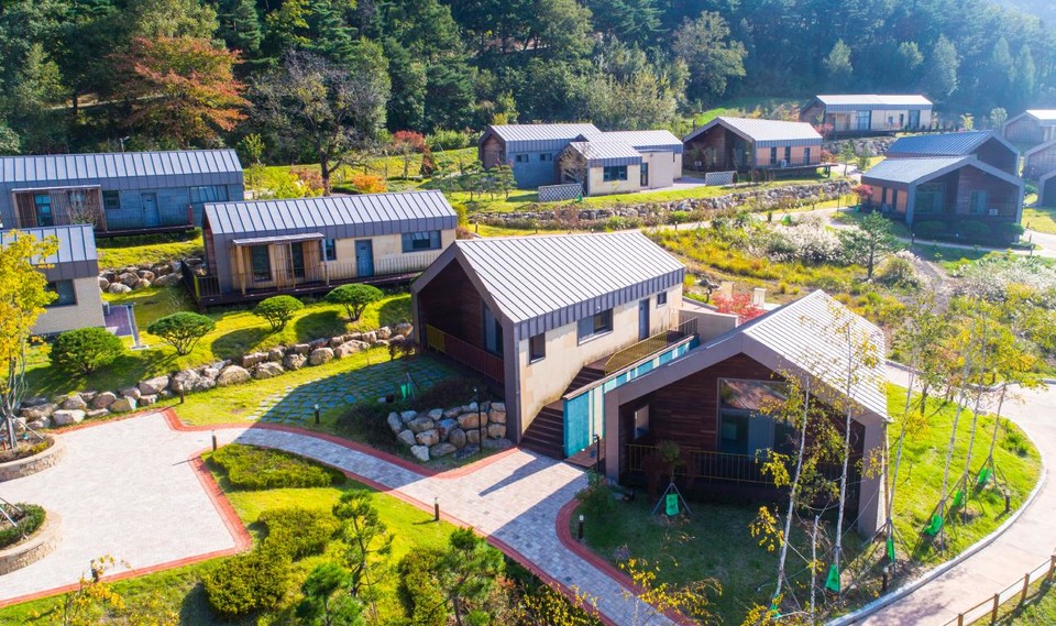 ▲ 단양 소백산자연휴양림. 사진=단양군제공