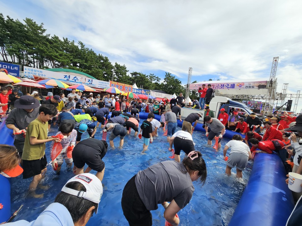 ▲ 서산시 부석면 간월도리에서 열린 서산 어리굴젓 축제 모습.