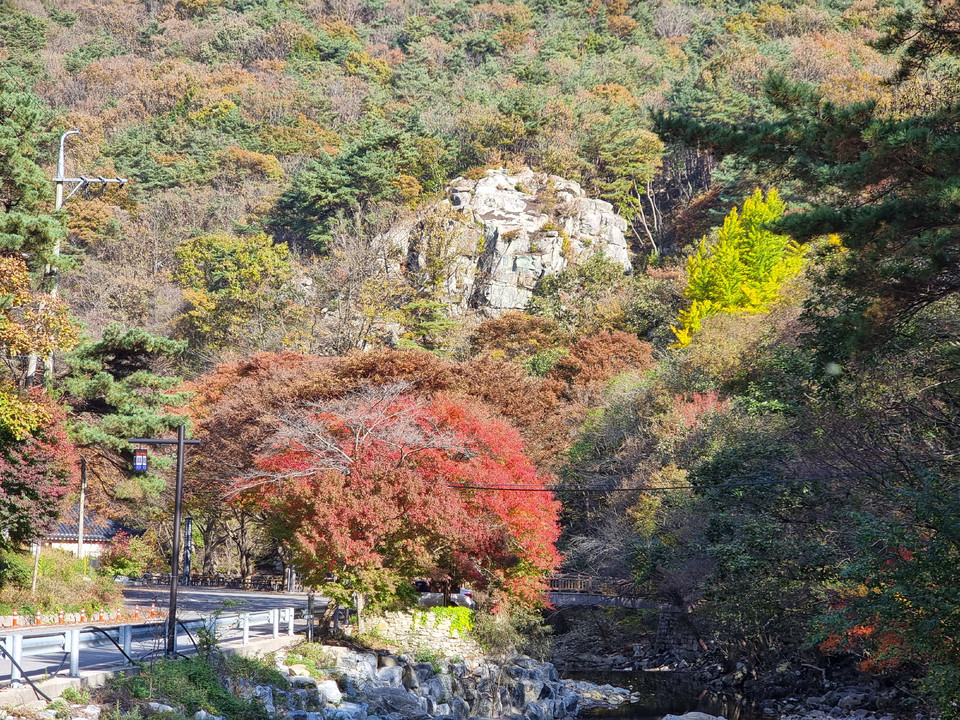 ▲ 서산용현리마애삼존불 입구에 단풍이 곱게 물들어 있다.