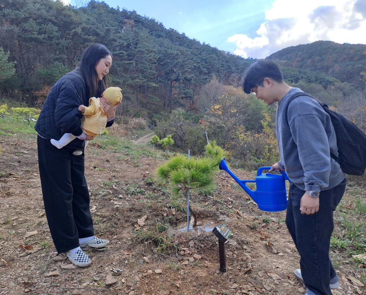▲ 아기를 출산한 한 가족이 단양 소백산자연휴양림 탄생목공원에서 아기 이름표가 붙여진 황금소나무를 심고 나무에 물을 주고 있다. 사진=단양군제공