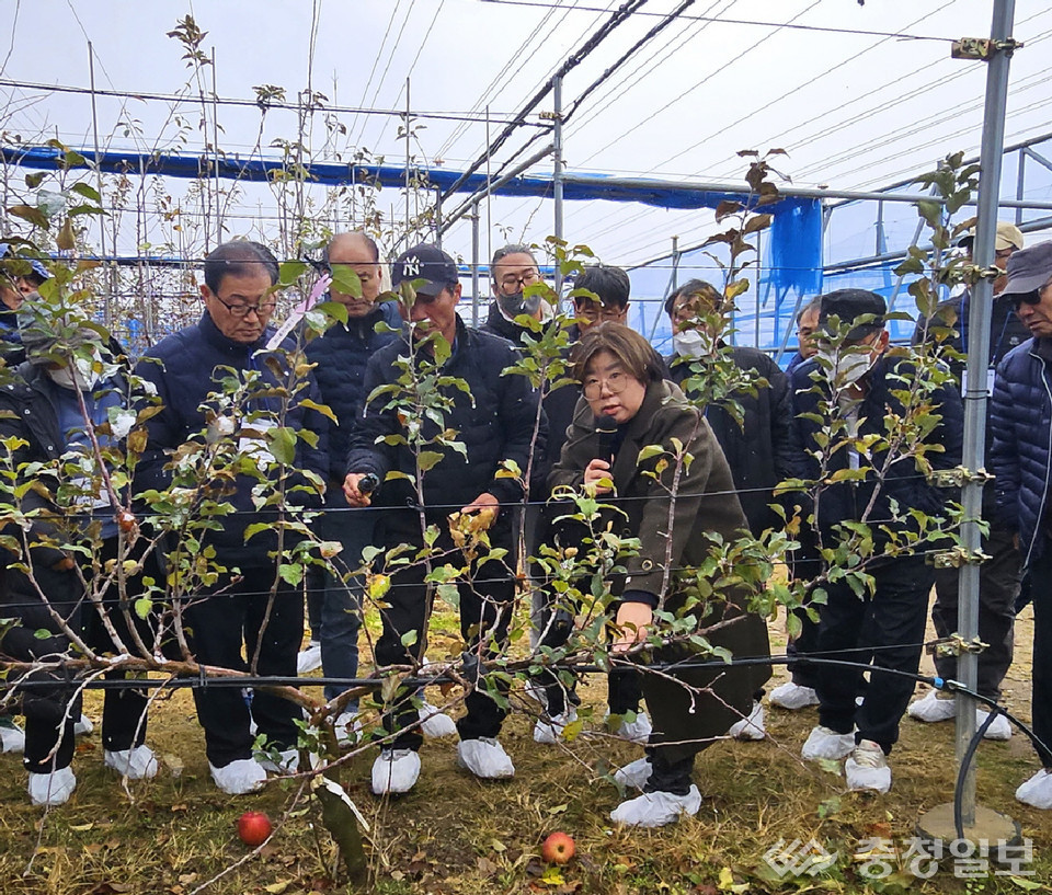 충주 '미래형 다축평면 사과 재배기술교육' 뜨거운 관심
