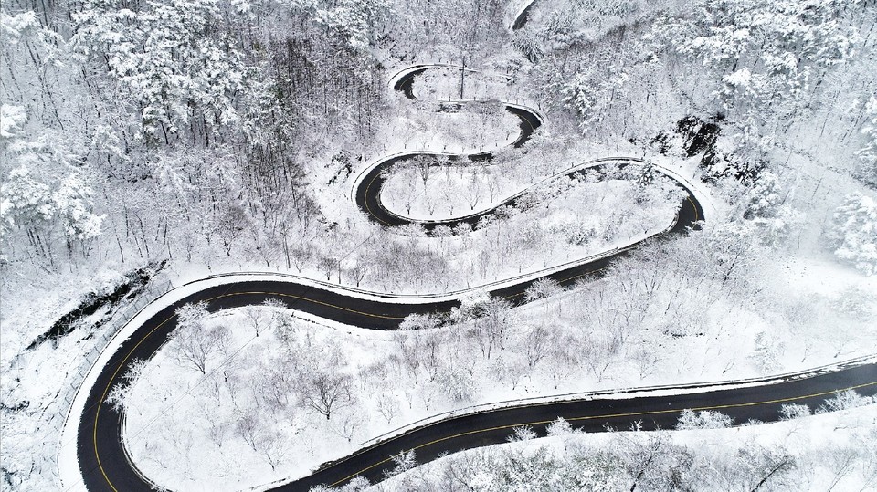 흰 눈에 덮인 충북 단양군 보발재가 수려한 풍광을 자랑하고 있다. 굽이굽이 이어진 길을 보며 지나온 나날을 돌아본다. 올해는 지속하는 경기침체와 탄핵 정국으로 그 어느 해보다 혼란했고 우리네 삶도 굴곡지게 했다. 분열과 갈등, 좌절과 고통같이 삿된 것은 지는 해와 함께 뒤안길로 보내고 화합하고 도약하는 희망찬 새해를 맞이하자. 새해 우리의 목표지는 희망이다. 눈 앞에 펼쳐진 길의 끝이 보이지 않아 막막할지라도 묵묵히 한 걸음 한 걸음 걷다 보면 종착지에 다다른다. 을사년 새해에는 힘차게, 힘차게 걸어가자. /사진=목성균 기자