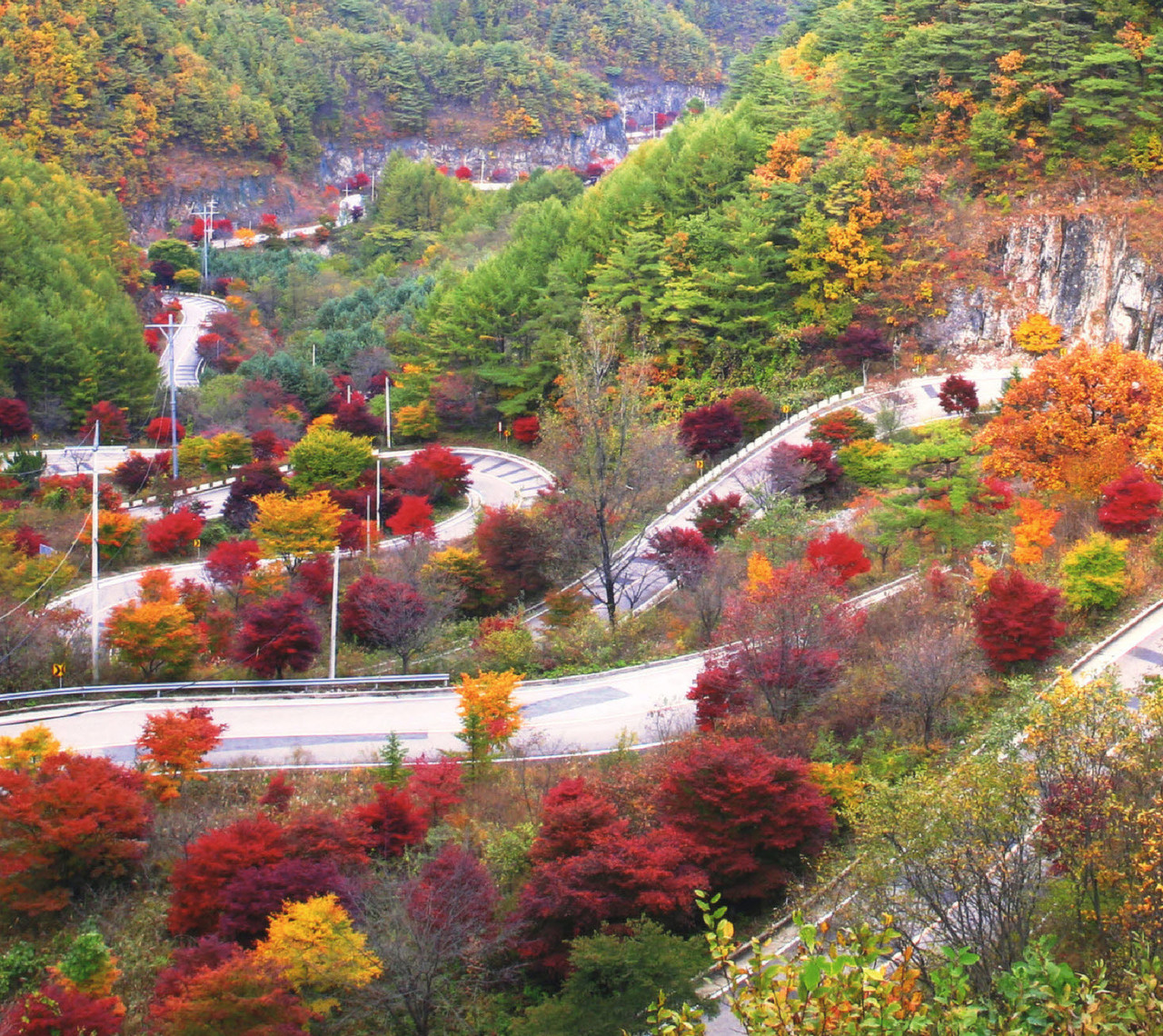 ▲ 충북 단양군 가곡면 보발재 가을 단풍 모습. 사진=단양군제공