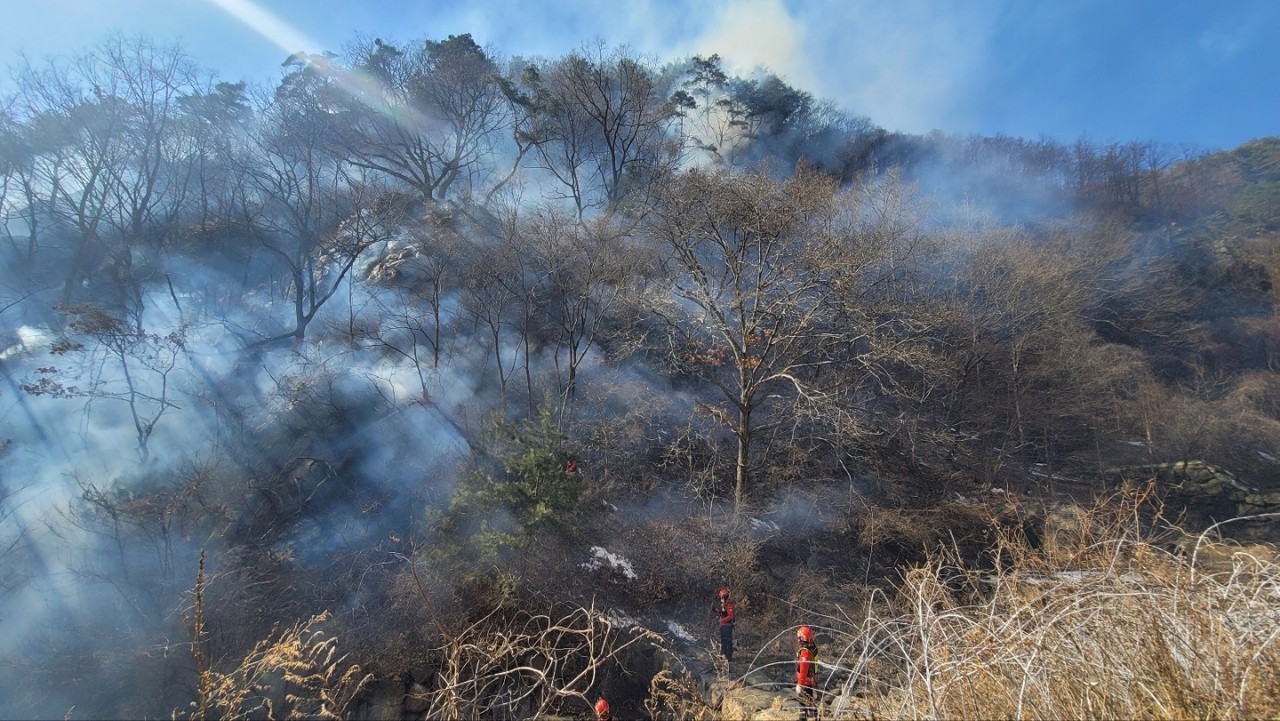 ▲ 산불 진화 작업 중인 소방과 진화대 모습. 사진=단양소방서제공