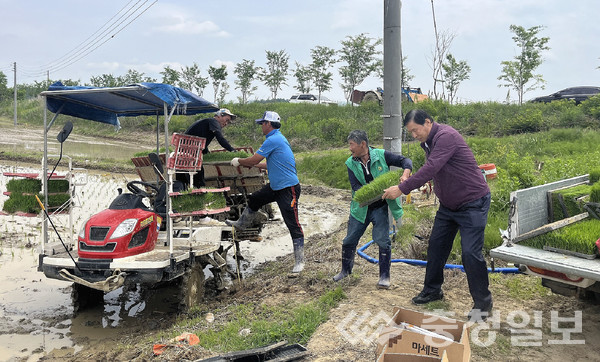 ▲ 충북 진천군 덕산농협 조정환 조합장(오른쪽)이 조합원의 모 내기 행사에서 일손을 돕는 모습.