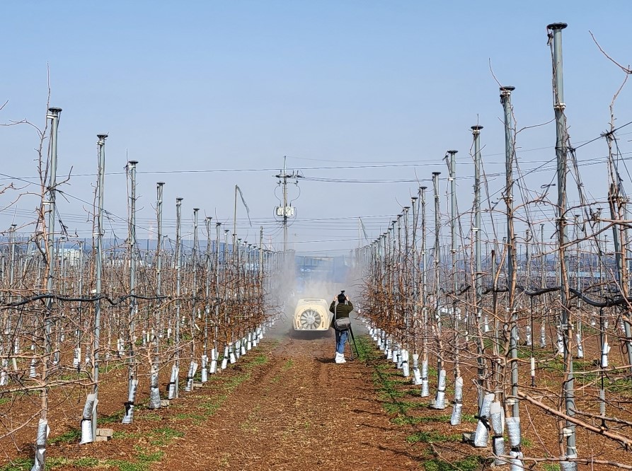 ▲ 약제 방제 작업 모습. 사진=단양군제공