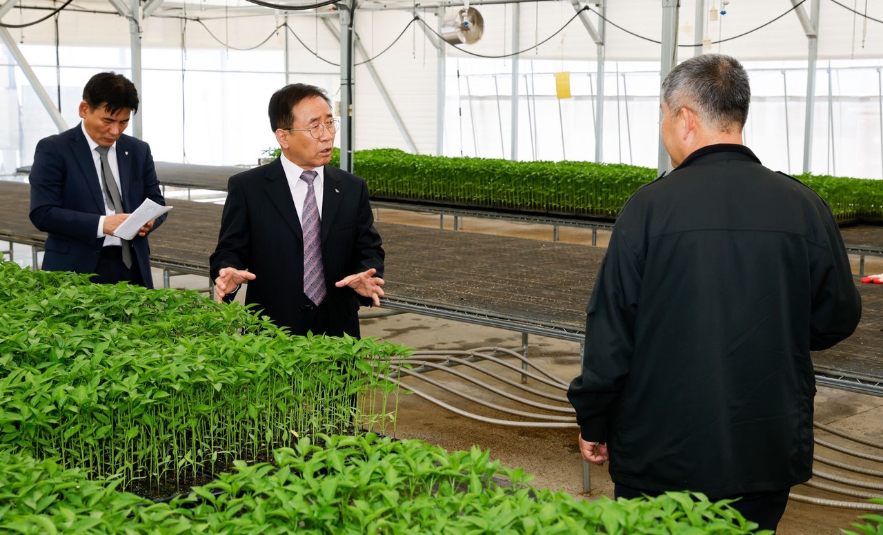 ▲ 21일 김문근 군수(가운데)가 어상천면 임현리 육묘장을 찾아 고추묘를 살펴보고 있다. 사진=단양군제공